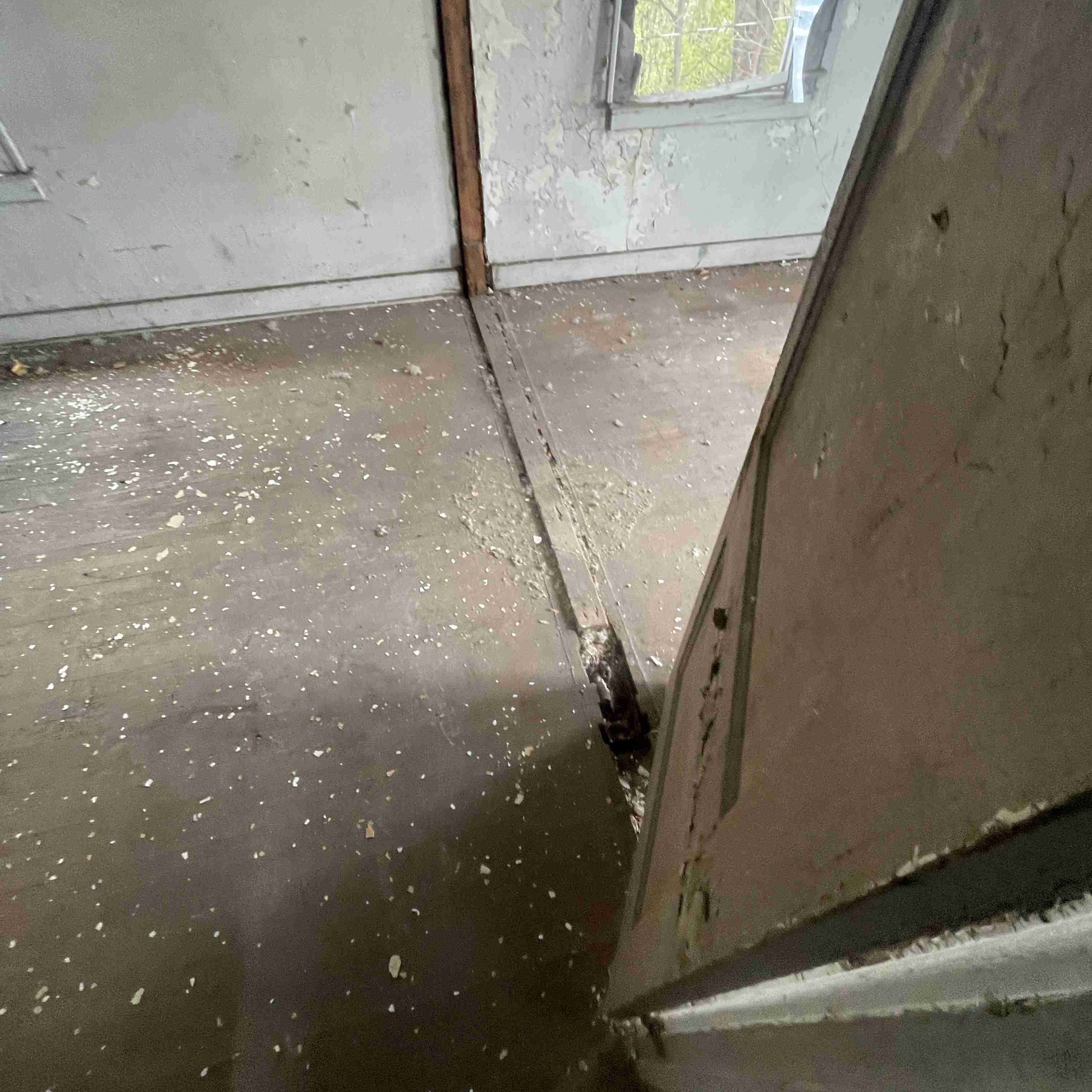 4039 Tuxedo (36).jpg